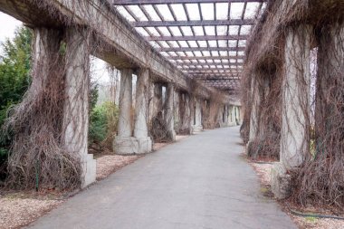 Çiçek bahçe kemer - pergola, Wroclaw, Polonya
