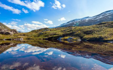 Geiranger fiord yakınlarındaki Norveç'te yaz manzara Panorama - nehir, taşlar, montajlar