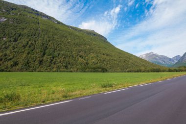 Geiranger fiord yakınlarındaki Norveç'te yaz manzara Panorama - nehir, taşlar, montajlar