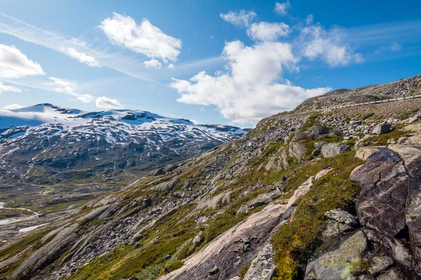Panorama Paisagem Verão Noruega Perto Fiorde Geiranger Rio Pedras Montagens — Fotografia de Stock