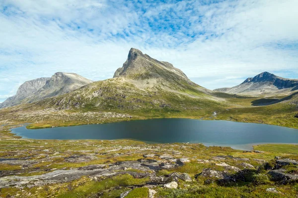 Panorama Van Zomer Landschap Noorwegen Buurt Van Geiranger Fiord Rivier — Stockfoto