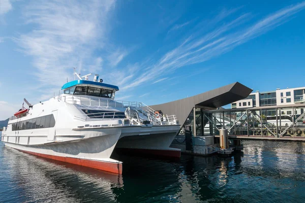 Bateaux Croisière Kayaks Alesund Norvège — Photo