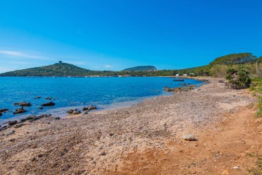 Alghero, Sardunya'daki Neptün Mağarası (Grotta di Nettuno) yakınlarındaki deniz kenarı 