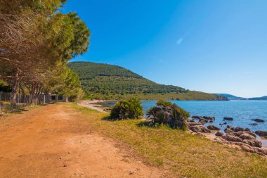 Alghero, Sardunya'daki Neptün Mağarası (Grotta di Nettuno) yakınlarındaki deniz kenarı 