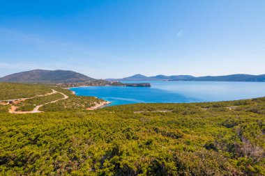 Alghero, Sardunya'daki Neptün Mağarası (Grotta di Nettuno) yakınlarındaki deniz kenarı 