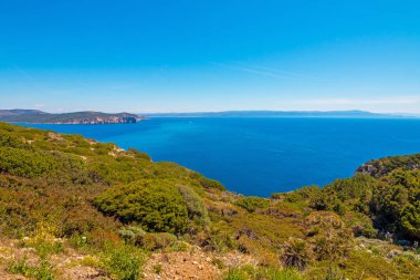 Alghero, Sardunya'daki Neptün Mağarası (Grotta di Nettuno) yakınlarındaki deniz kenarı 