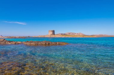 Stintino yakınlarındaki güzel turkuaz maviakdeniz Pelosa plaj, Sardunya, İtalya.