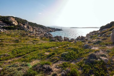 kayalar ile Sardegna sahil manzarası, Sardunya, İtalya