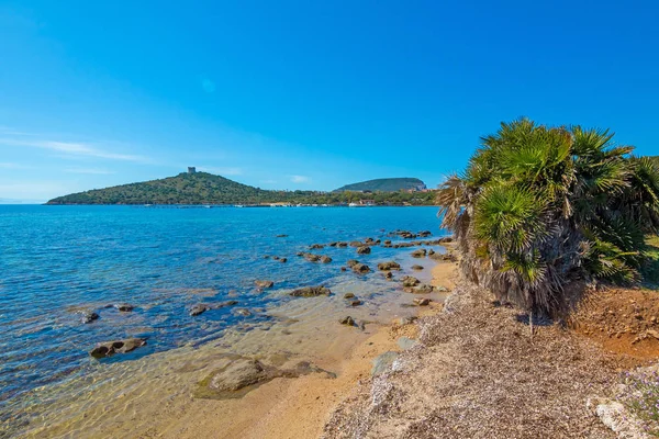 Litoral Perto Gruta Neptune Grotto Grotta Nettuno Alghero Sardenha — Fotografia de Stock