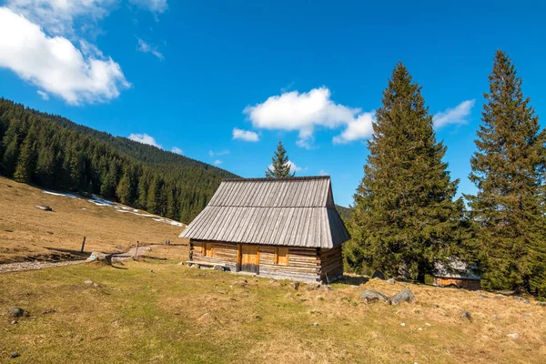 Polana Rusinowa Las Montañas Tatra Zakopane Polonia — Foto de Stock