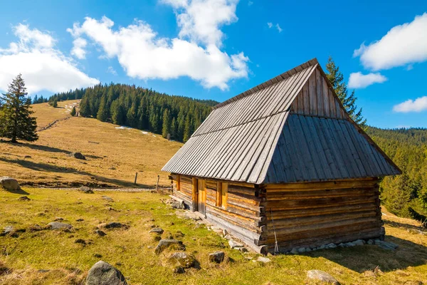 Polana Rusinowa Las Montañas Tatra Zakopane Polonia — Foto de Stock