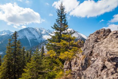 Polana Rusinowa, Zakopane,Polonya'daki Tatra dağlarında