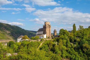 Almanya'daki St. Martin Kilisesi (Xiv yüzyıl), Orta Rhein. 