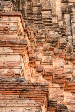 Bir closeup üstten görünüm merkezi eski ağaç güdük vurdu. Çizgiler ve desenler görünür.