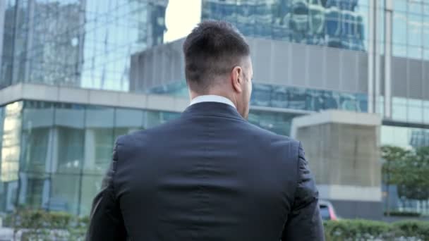 Back View Walking Businessman — Stock Video