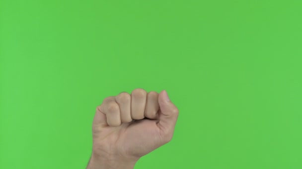 녹색 크로마 키에 손을 세다 — 비디오