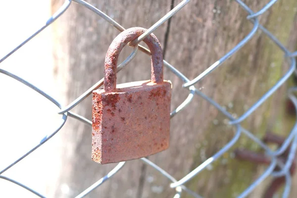 旧生锈的挂锁在铁栅栏特写 — 图库照片