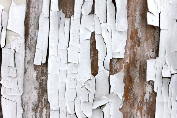 Eski ahşap arka planda eski, yanmış beyaz boya, tavan arası tarzında arka plan için ideal