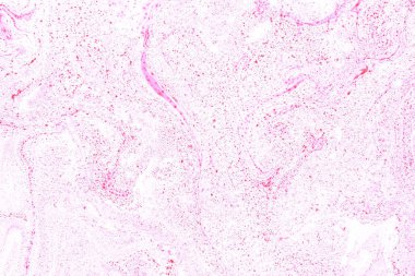 Güzel sıradışı mor arka plan