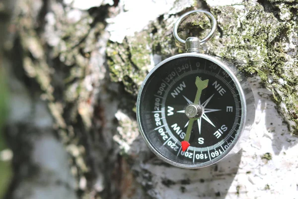 Klasyk Kompas Naturalne Podłoże Drewniane Brzozy Kora Tekstury — Zdjęcie stockowe