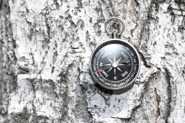 Huş kabuğu doku doğal ahşap zemin üzerine klasik pusula