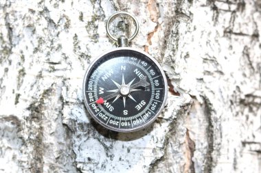 Huş kabuğu doku doğal ahşap zemin üzerine klasik pusula