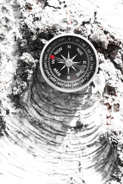 Huş kabuğu doku doğal ahşap zemin üzerine klasik pusula