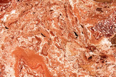 Bulanık arka plan kırmızı ve kahverengi renkleri farklı sesi ile