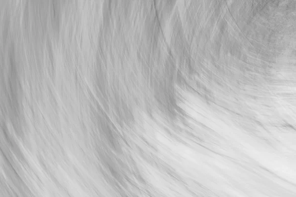 Beautiful Black White Unusual Abstract Background — Stock Photo, Image