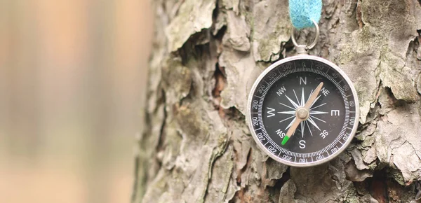 Tourist Compass Close Natural Background Forest — Stock Photo, Image