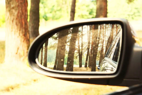 Lusterko Samochodowe Wizerunkiem Letniego Lasu Sosnowego Refleksji Dobrej Jasnej Pogodzie — Zdjęcie stockowe