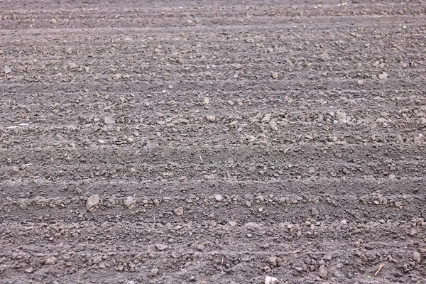 Soil Background Natural Brown Organic Texture — Stock Photo, Image