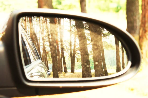 Car Mirror Image Summer Pine Forest Reflection Good Clear Summer — Stock Photo, Image