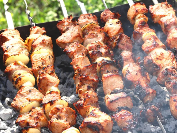 Barbecue Skewers Juicy Appetizing Delicious Meat Closeup — Stock Photo, Image