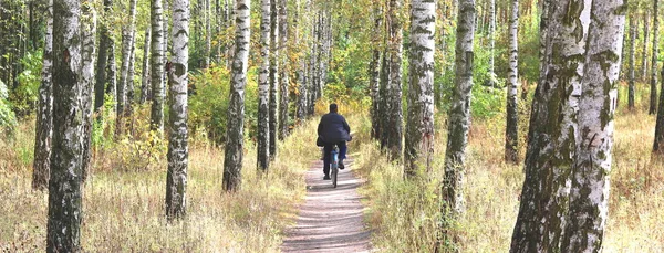 Paisagem Primavera Floresta Bétula Com Ciclista Bicicleta Com Costas Para — Fotografia de Stock
