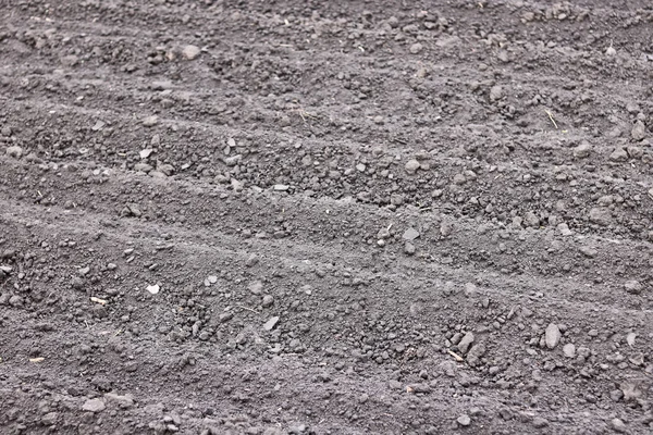 Soil Background Natural Brown Organic Texture — Stock Photo, Image