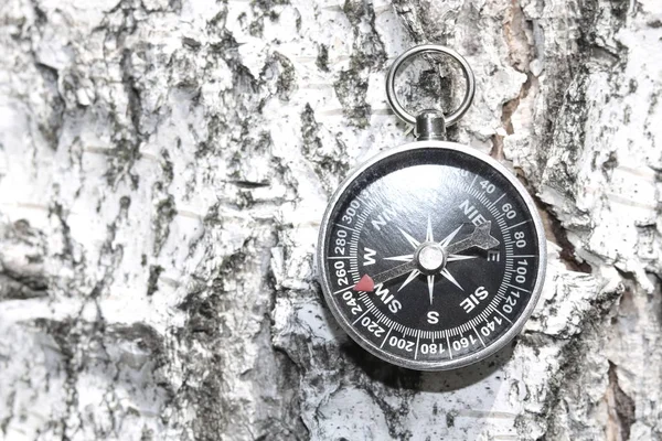 Klassiska Kompass Naturliga Trä Bakgrund Med Birch Bark Textur — Stockfoto