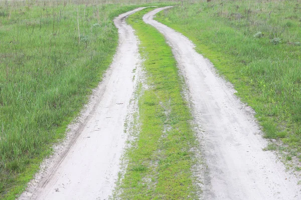 Kırsal Toprak Yolda Arka Plan Erken Yaz Yeşil Çimen — Stok fotoğraf