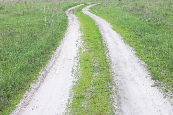 Obszarów Wiejskich Polnej Drodze Tle Zielonej Trawy Początku Lata — Zdjęcie stockowe