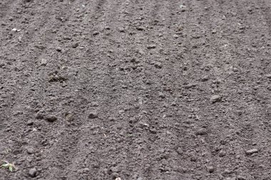 Doğal kahverengi organik doku ile toprak arka plan