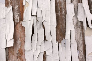 Eski siyah beyaz eski püskü arka plan öğeleri ile eski boya güzel çatı stili doku eski ahşap zemin üzerine beyaz