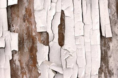 Eski siyah beyaz eski püskü arka plan öğeleri ile eski boya güzel çatı stili doku eski ahşap zemin üzerine beyaz