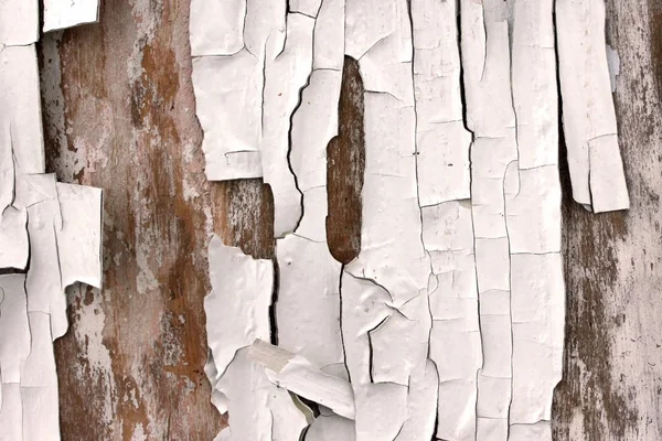 Eski siyah beyaz eski püskü arka plan öğeleri ile eski boya güzel çatı stili doku eski ahşap zemin üzerine beyaz