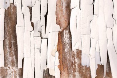 Eski siyah beyaz eski püskü arka plan öğeleri ile eski boya güzel çatı stili doku eski ahşap zemin üzerine beyaz