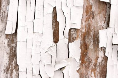 Eski siyah beyaz eski püskü arka plan öğeleri ile eski boya güzel çatı stili doku eski ahşap zemin üzerine beyaz