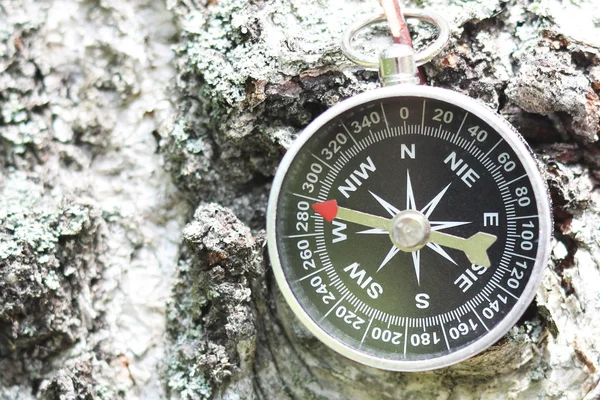 Okrągły Klasyczny Kompas Bliska Tle Kory Brzozy — Zdjęcie stockowe