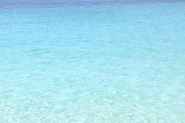 Tamamen berrak deniz suyuyla çok güzel doğal bir arka plan.