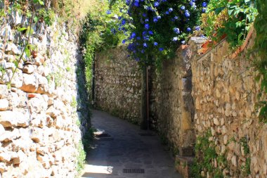 Avrupa'da İtalya tatil beldesinde yaz aylarında tropikal bitkiler ve parlak mavi çiçekler ile güzel dar taş sokak