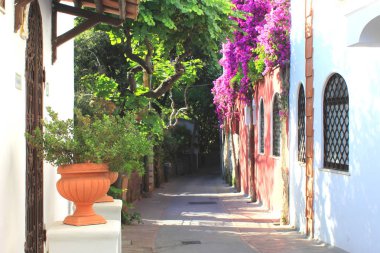 Avrupa 'daki İtalya tatil köyünde, tropik bitkiler ve parlak kırmızı çiçeklerle dolu güzel, dar bir ara sokak.