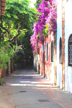 Avrupa 'daki İtalya tatil köyünde, tropik bitkiler ve parlak kırmızı çiçeklerle dolu güzel, dar bir ara sokak.